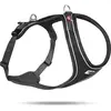 Image de CURLI Harnais pour chiens Belka Comfort Black XS, 15-20 kg