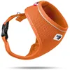 Image de Harnais Basic Air-Mesh Orange XS