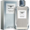Image de Bentley Momentum Unlimited Eau de Toilette pour homme 100 ml