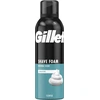 Image de Mousse à raser Gillette Sensitive Basis 200 ml