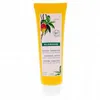 Image de KLORANE Mangue - Crème de jour tube 100ml
