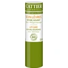 Image de CATTIER Soin lèvres bio stick 4g