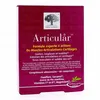 Image de NEW NORDIC Articular comprimés x 60