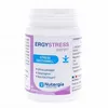 Image de NUTERGIA Ergy Stress Seren x 60 gélules