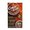Image de LES 3 CHÊNES Color & soin n°6N