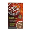 Image de LES 3 CHÊNES Color & soin n°7G blond doré