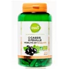 Image de PHARMASCIENCE Articulation - Cassis Bio 200 gélules