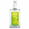 Image de WELEDA Déodorant au Citrus bio flacon spray 100ml