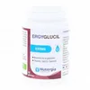Image de NUTERGIA Ergyglucil Glycémie x60 gélules