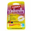 Image de CARMEX Baume à Lèvres - Intensément Hydratant pastèque