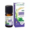 Image de NATURACTIVE Huile Essentielle Bio Menthe Poivrée flacon 10ml
