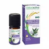 Image de NATURACTIVE Huile Essentielle Bio Sarriette des Montagnes flacon 5ml