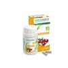Image de NATURACTIVE Cranberry 60 gélules