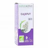 Image de NATURACTIVE Huile Essentielle Bio Cajeput flacon 5ml