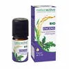 Image de NATURACTIVE Huile Essentielle Bio Encens flacon 5ml