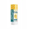 Image de DERMOPHIL Stick Protection Kids goût vanille 4g