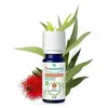 Image de PURESSENTIEL Huile essentielle Eucalyptus radié bio 30ml