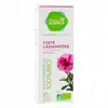 Image de PHARMASCIENCE Huile essentielle de Ciste Ladanifère bio flacon 5 ml