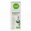 Image de PHARMASCIENCE Huile essentielle d'Eucalyptus globulus bio flacon 10 ml