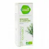 Image de PHARMASCIENCE Huile essentielle de Romarin à Camphre bio flacon 10ml