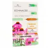 Image de FLORA NATURA Echinacée Bio 20 Ampoules de 15ml
