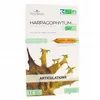 Image de FLORA NATURA Harpagophytum Bio 20 Ampoules de 15ml