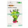 Image de FLORA NATURA Complexe 4+ - Confort Urinaire 20 Ampoules de 15ml