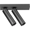 Image de Plafonnier Double Orientable Gfa 14W Led 3000K Faisceau 38° Cri>90 Ip20 Aluminium Noir Satiné - Gealuce