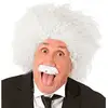 Image de Perruque et Moustache Einstein
