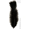 Image de Sachet De 50 Plumes Noires