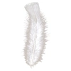 Image de Sachet De 50 Plumes Blanches