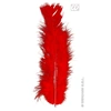 Image de Sachet De 50 Plumes Rouges