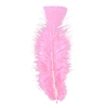 Image de Sachet De 50 Plumes Roses Pastel