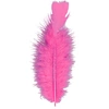 Image de Sachet De 50 Plumes Roses