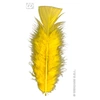 Image de Sachet De 50 Plumes Jaunes