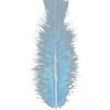 Image de Sachet De 50 Plumes Bleu Ciel