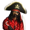 Image de Kit De Moustaches Et Barbe De Pirate
