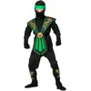 Image de DÃ©guisement Combat Ninja Vert - Enfant