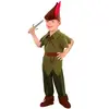 Image de DÃ©guisement Lutin
