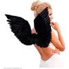 Image de Ailes Noires A Plumes - 86 x 31 cm - Adulte