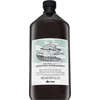 Image de Davines Natural Tech Shampooing désincrustant détoxifiant shampooing désincrustant pour cheveux gras rapides 1000 ml