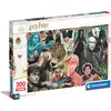 Image de Puzzle Harry Potter 300 pièces Clementoni 21727