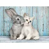 Image de CLE puzzle 500 HQC Lapin et chat 35004
