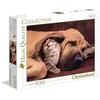 Image de Puzzle 500 chiots Fototeca, Collection de haute qualité, 35020