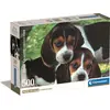 Image de Puzzle CLE 500 Compact Rapproché 35536