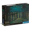 Image de Puzzle CLE 1000 CompactMus.NotteStellataSulR.37095