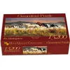 Image de CLE puzzle 13200 HQ Band of Thunder 38006