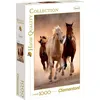 Image de Clementoni High Quality Collection Puzzle "Running Horses" 1000 pièces