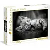 Image de Clementoni 1000 HQ Puzzle Chaton 39422
