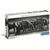 Image de CLEMENTONI - Compact 1000 pieces Panorama - Herd of Giants - Neuf